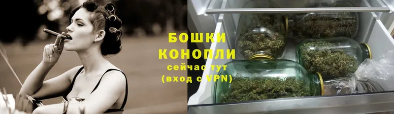 Шишки марихуана White Widow  продажа наркотиков  Медынь 